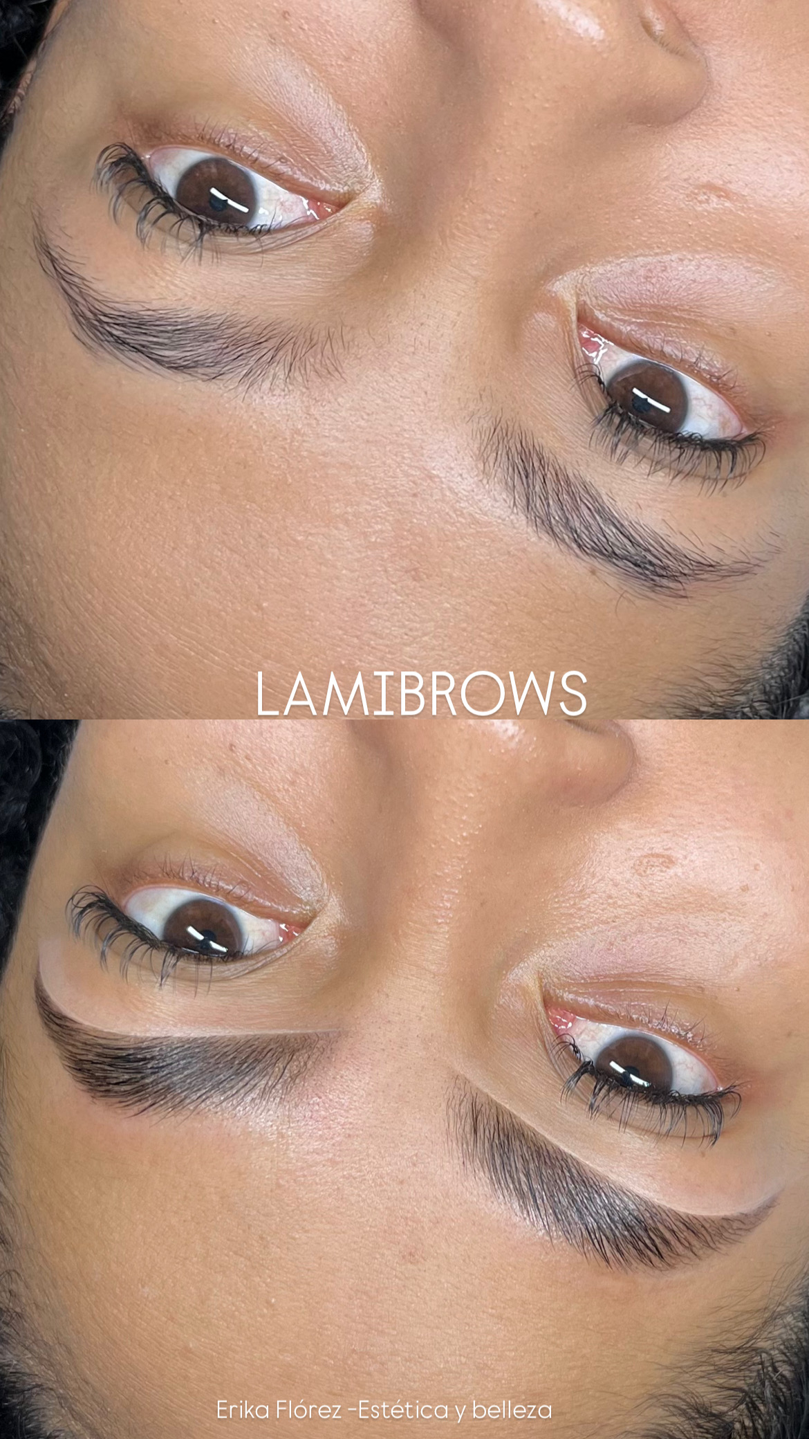 Foto del servicio LAMIBROWS