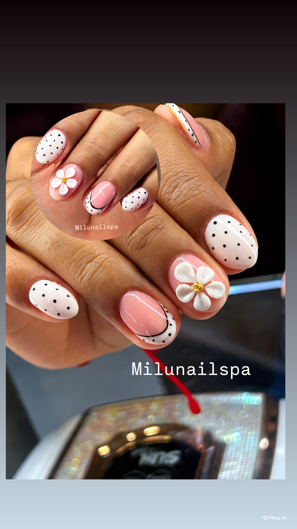 Banner de Milunailspa