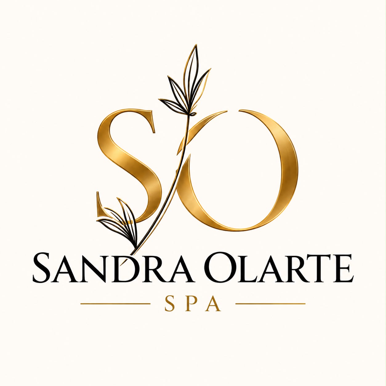 Logo de Sandra Olarte Spa
