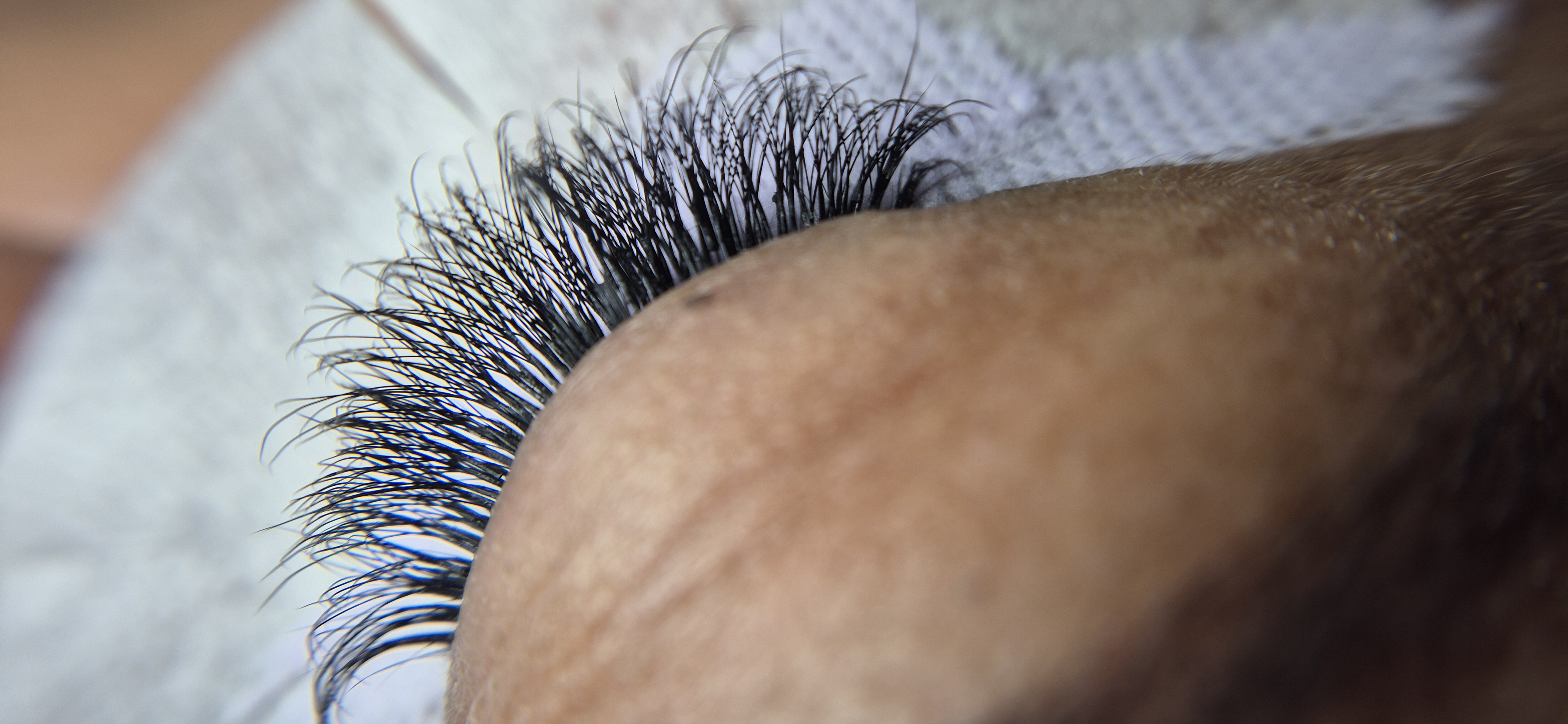 Foto del servicio Pestañas pelo a pelo