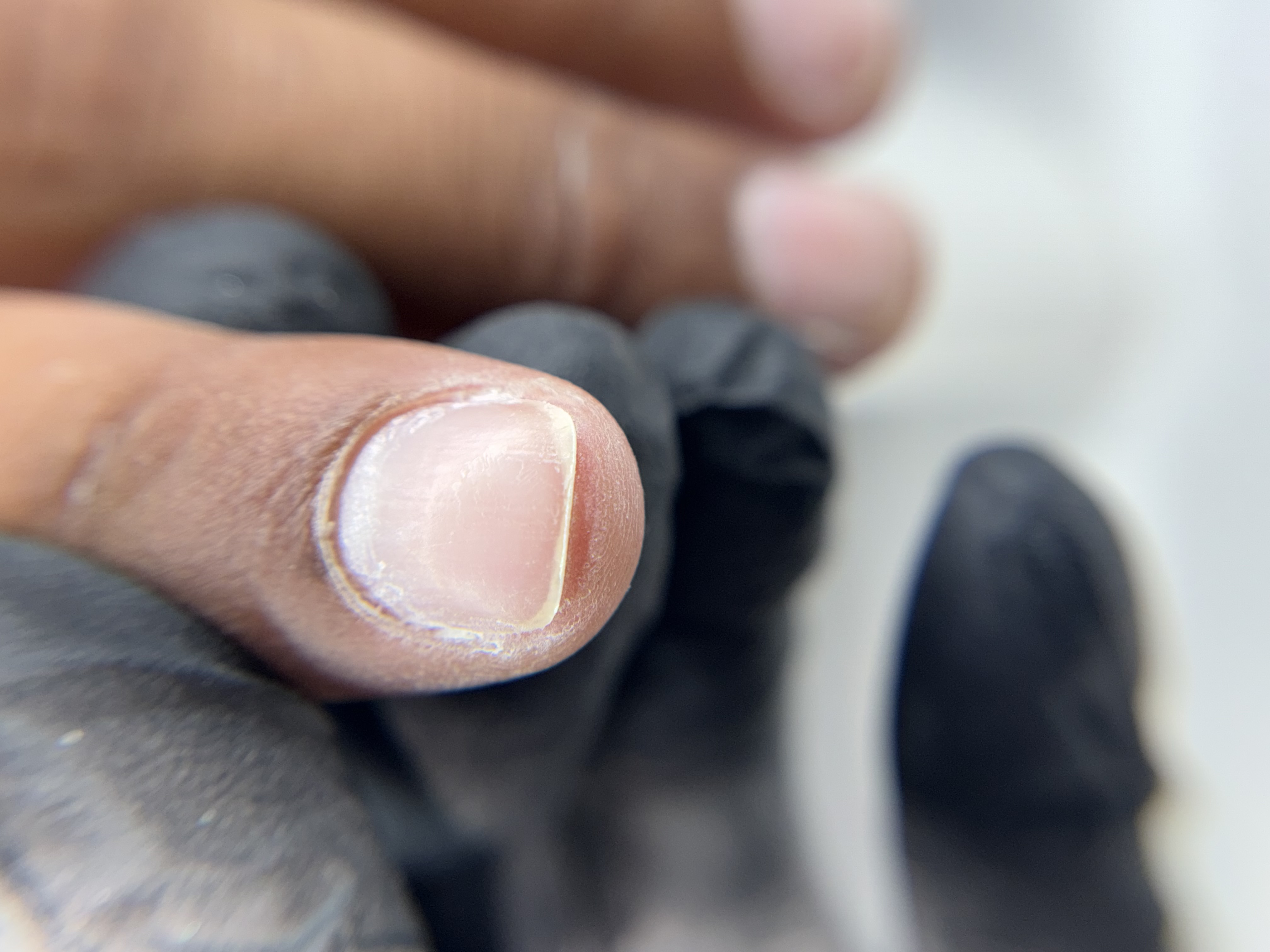 Foto del servicio Manicura rusa