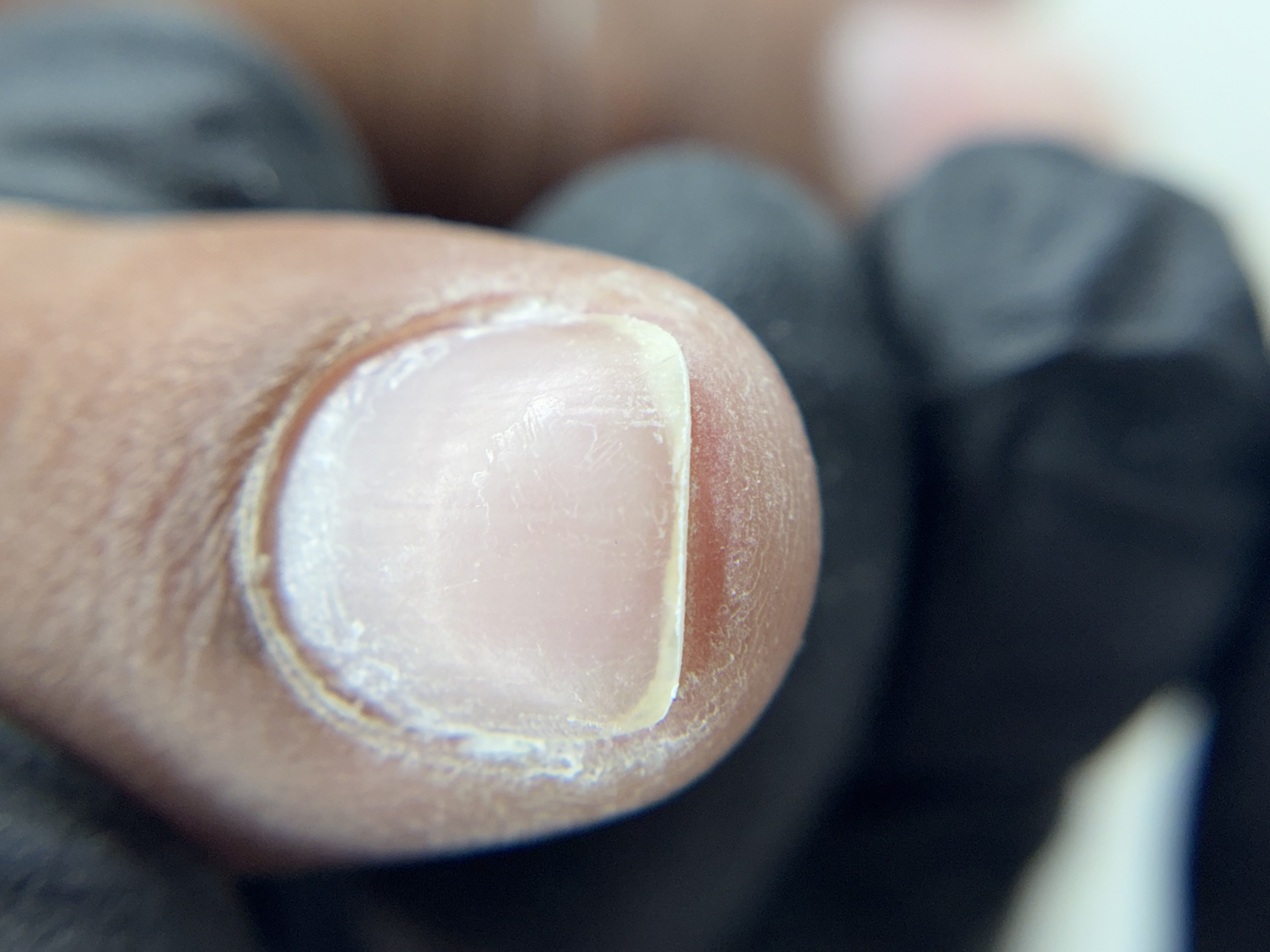 Foto del servicio Manicura rusa